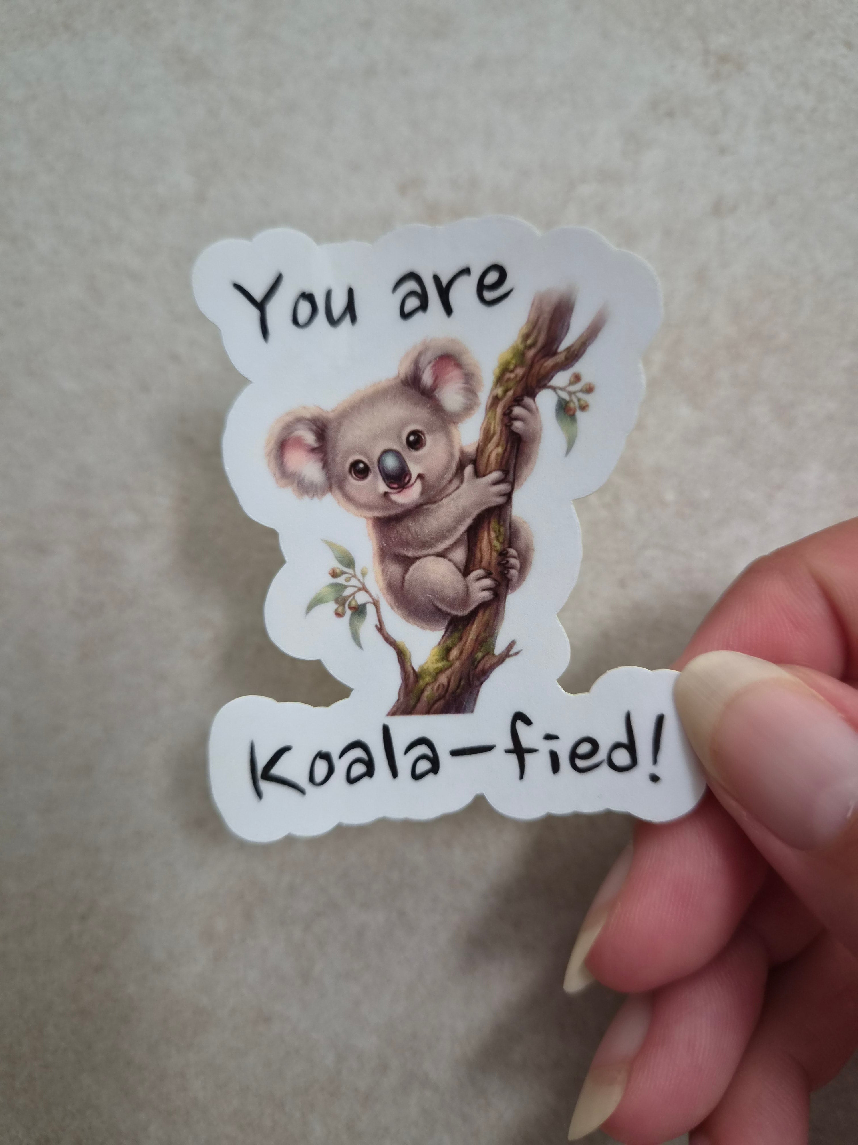 You are Koala-fied! sticker