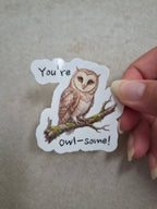 You're Owl-some! sticker