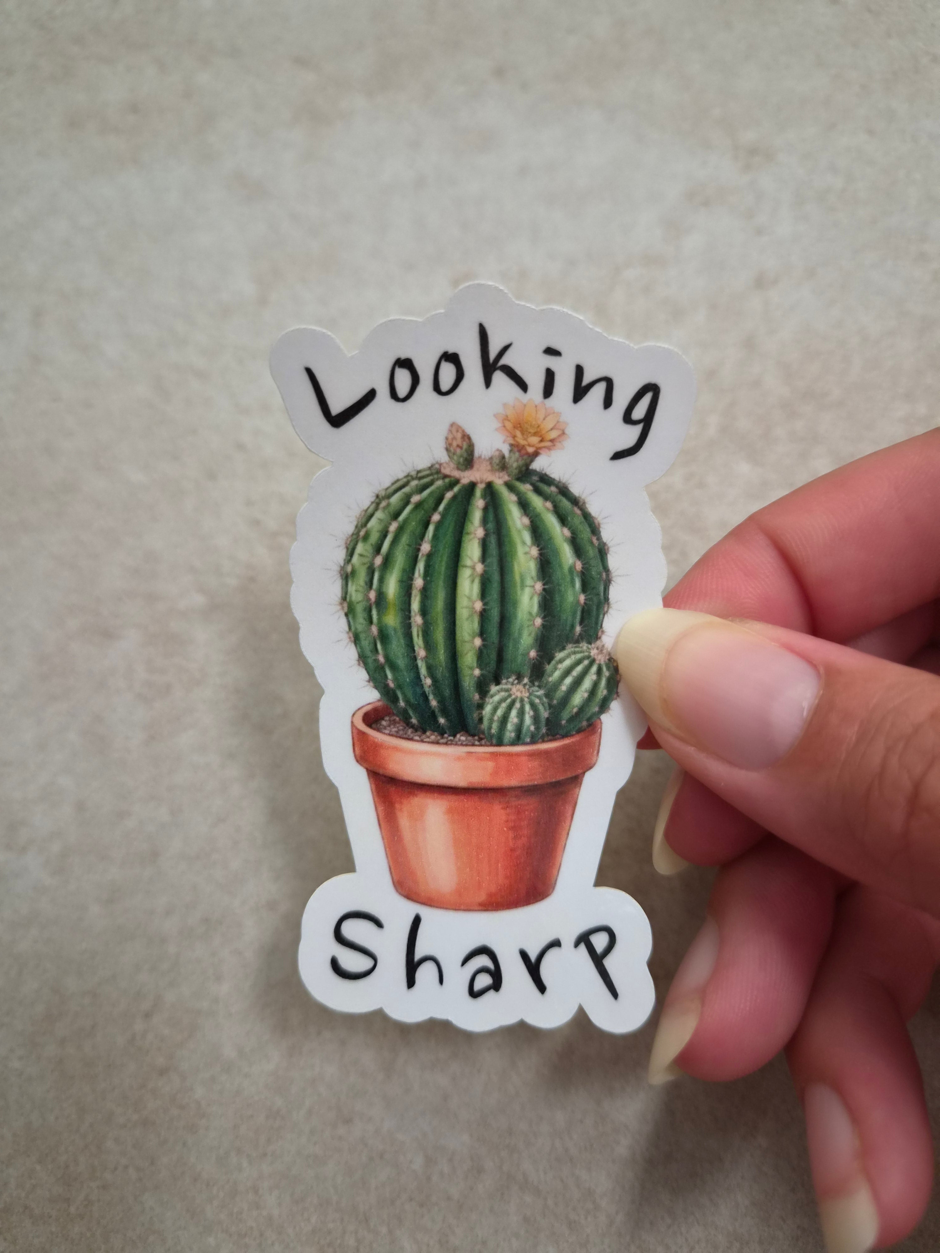 Looking Sharp sticker
