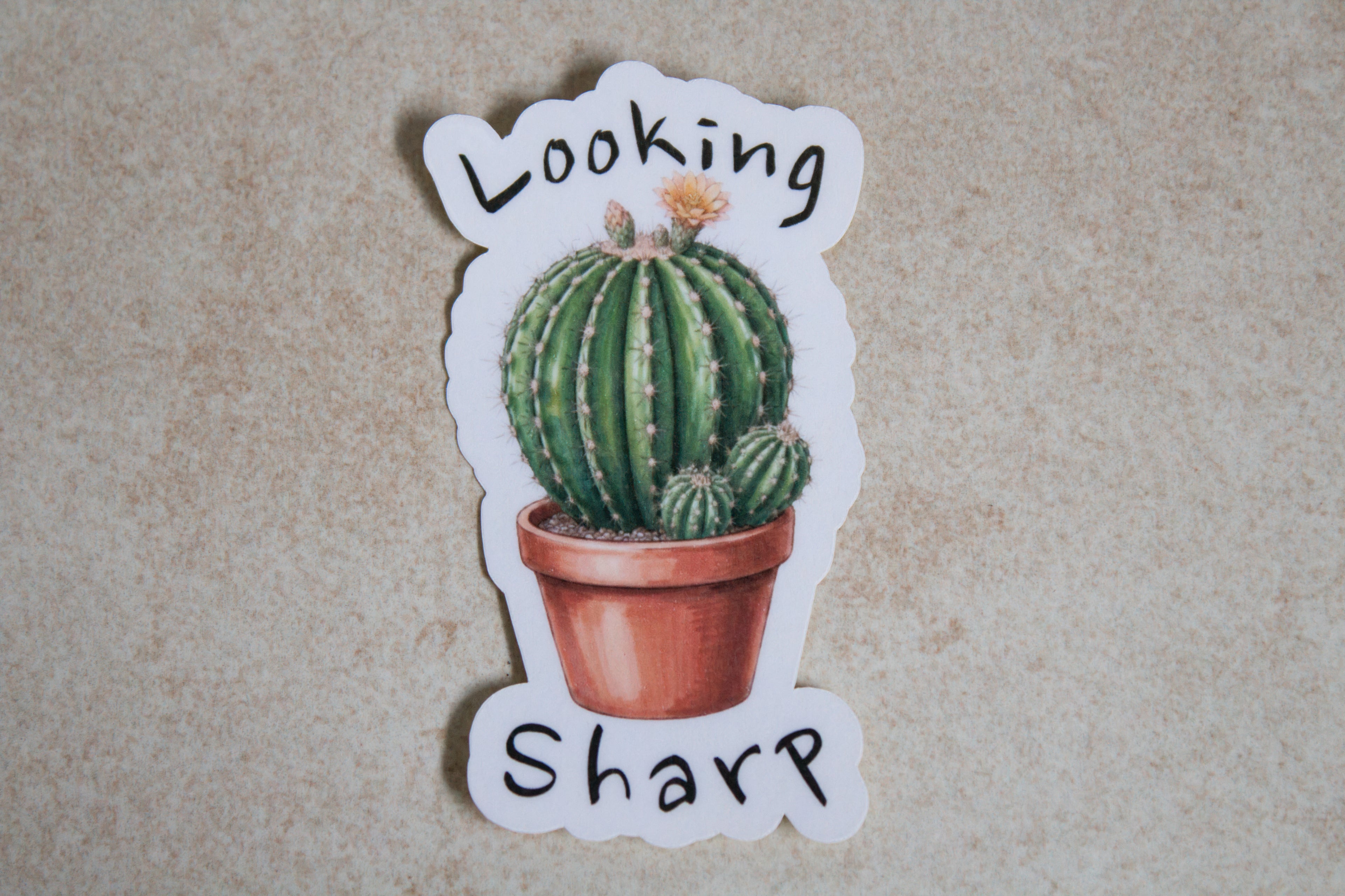 Looking Sharp sticker
