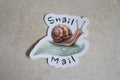 Snail Mail sticker
