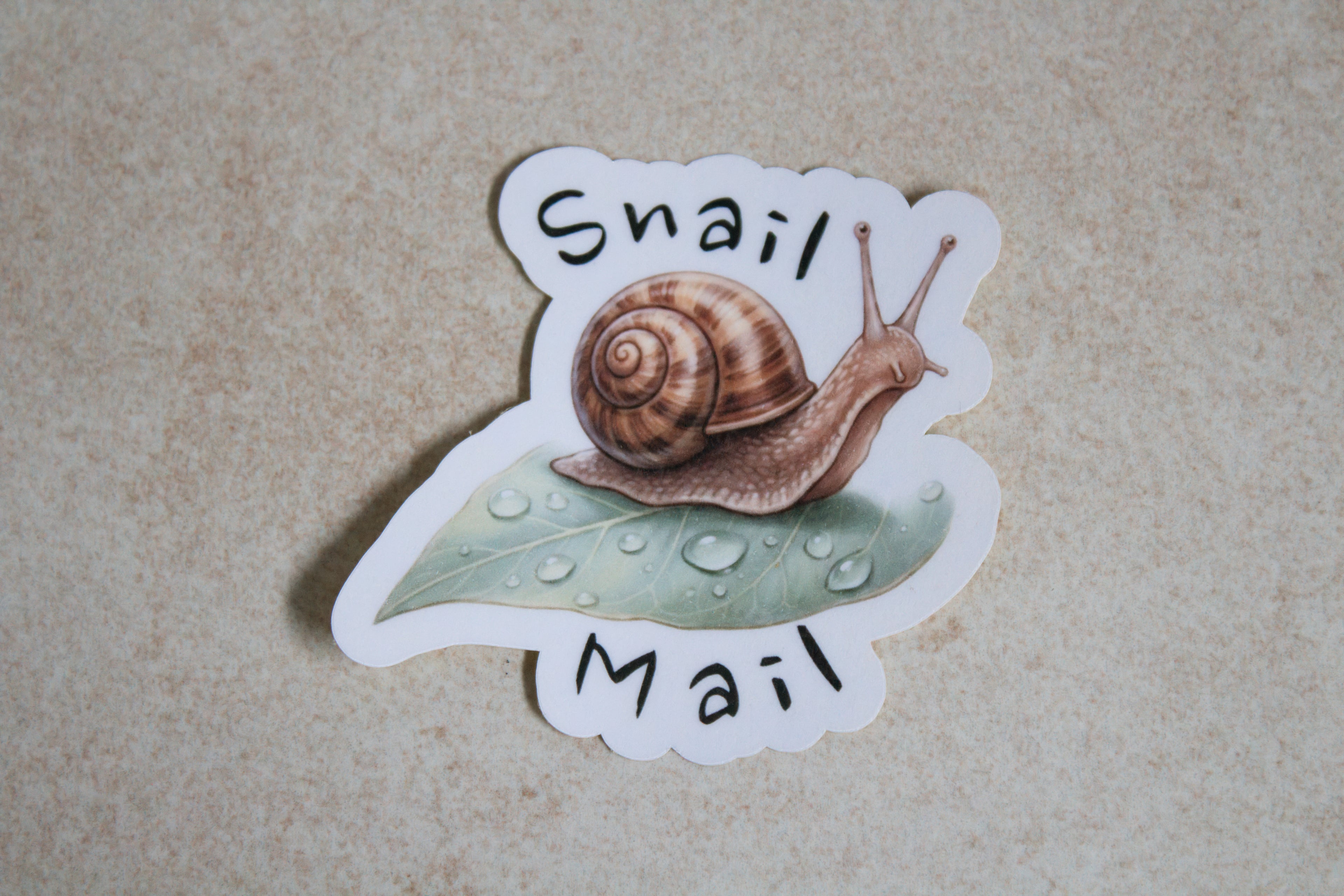 Snail Mail sticker